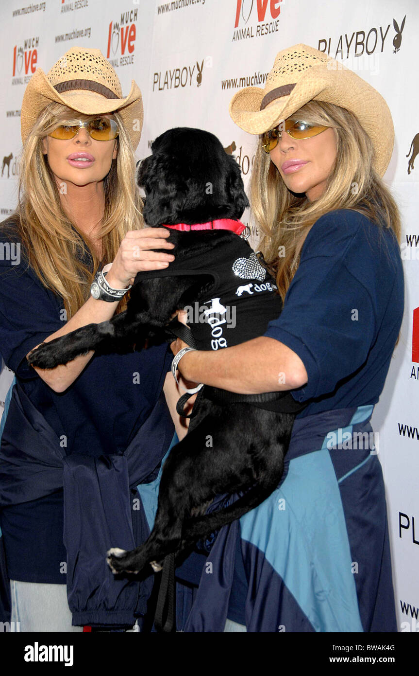 Il bow WOW WOW Celebrity finalizzata alla raccolta di fondi per molto salvataggio animale di amore Foto Stock