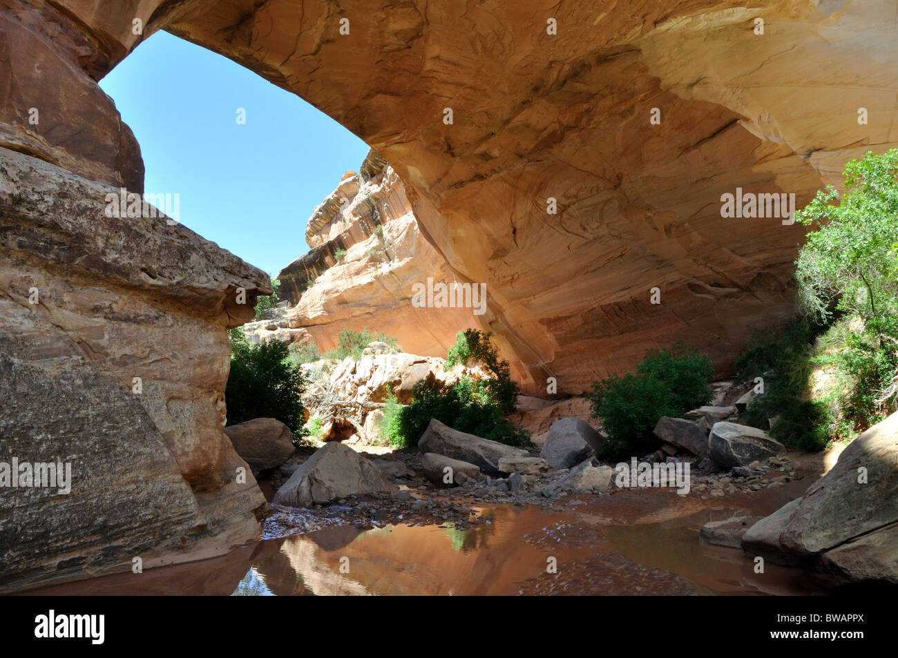 Kachina Ponte naturale - Southern Utah Foto Stock