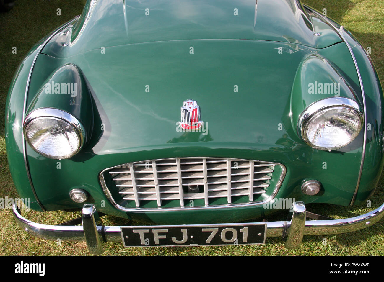 Verde TR 3 Truimph Roadster auto sportiva Foto Stock