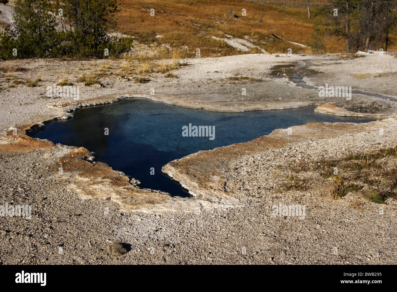 Blue Star Pool, Upper Geyser Basin, Yellowstone Foto Stock