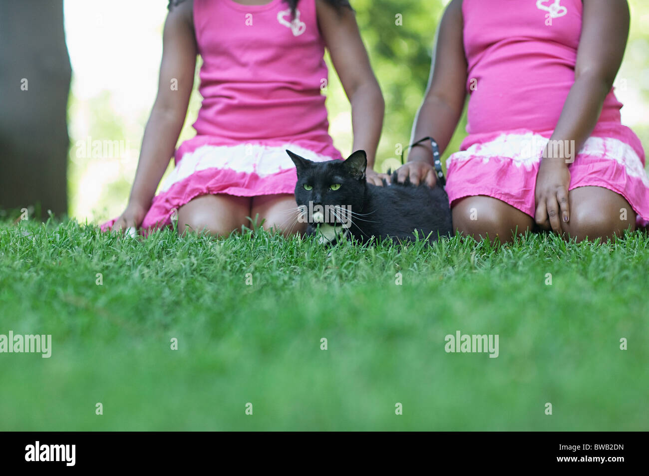 Due ragazze accarezzare un gatto Foto Stock