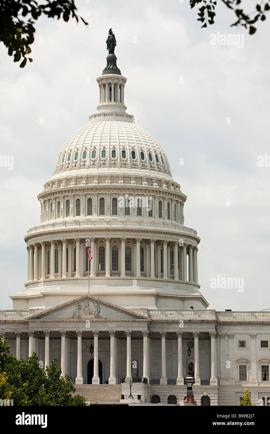 Stati Uniti Campidoglio, Washington DC, Stati Uniti d'America Foto Stock