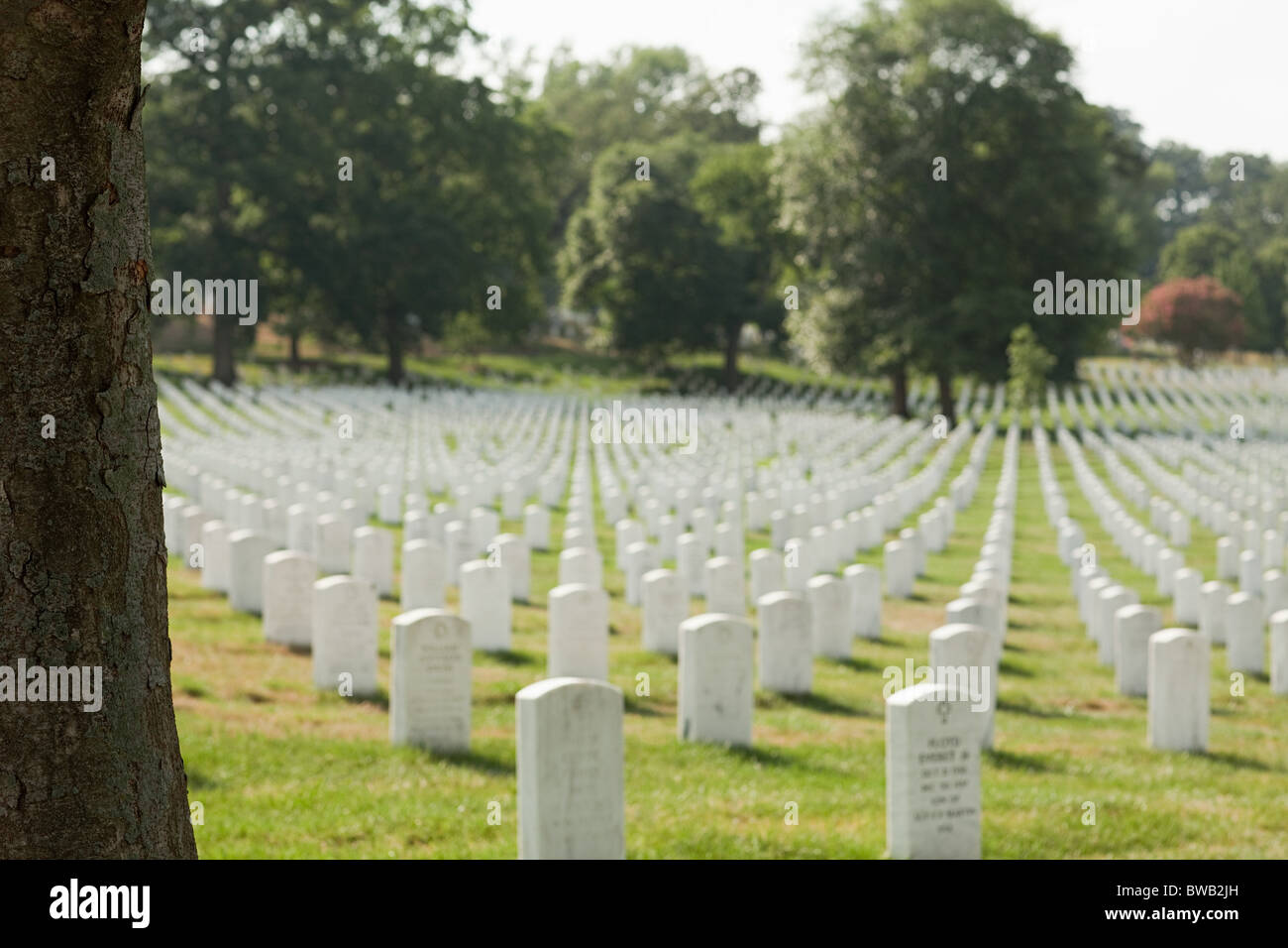 Al Cimitero Nazionale di Arlington, Virginia, Stati Uniti d'America Foto Stock
