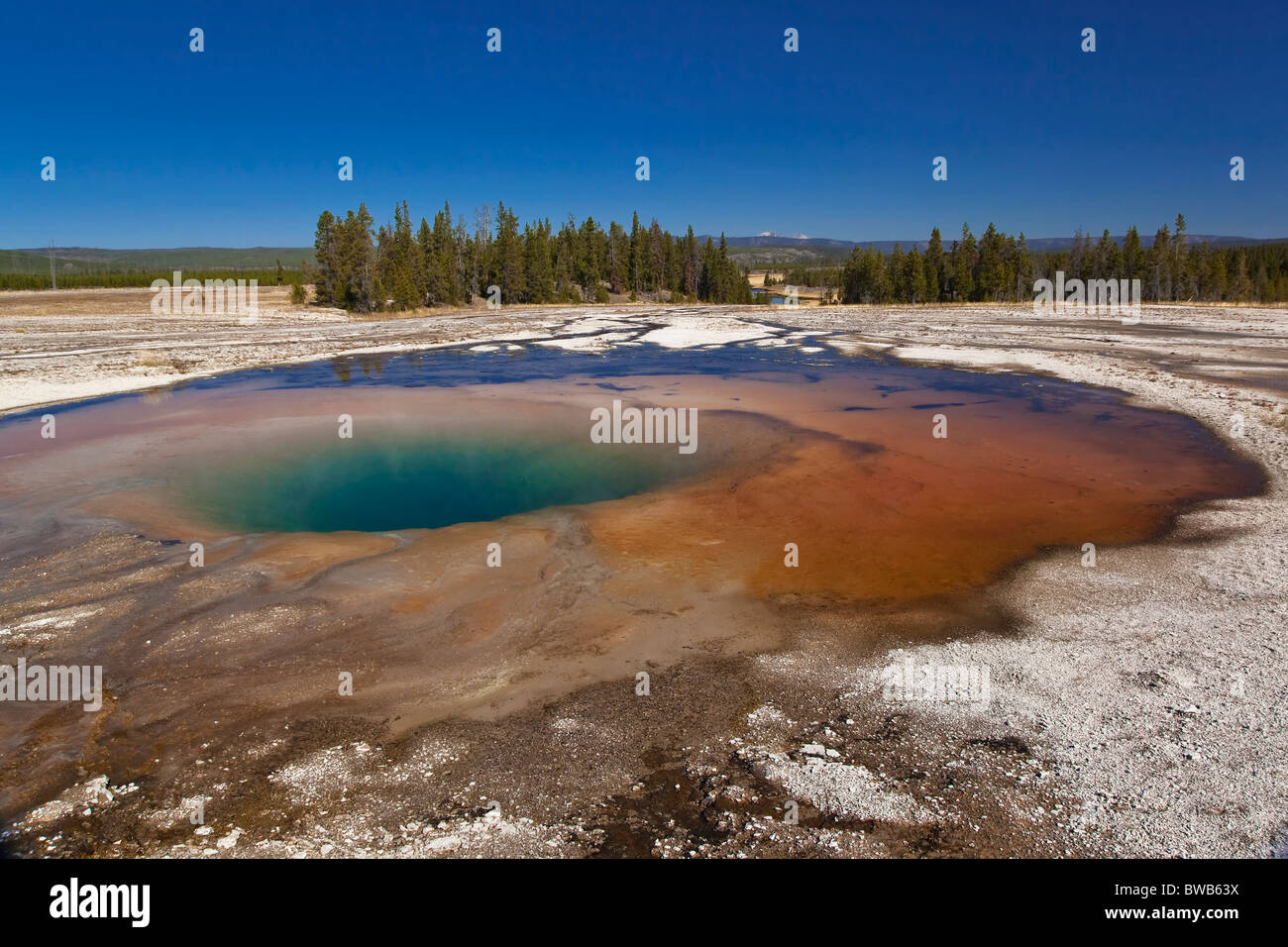 Yellowstone's favolosamente colorata e incredibile piscina opale Foto Stock
