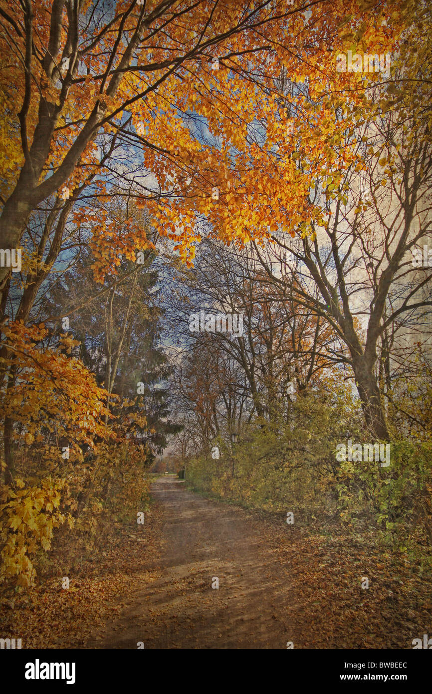 Autunno in Bayern, sentiero in legno con foglie rosse Foto Stock