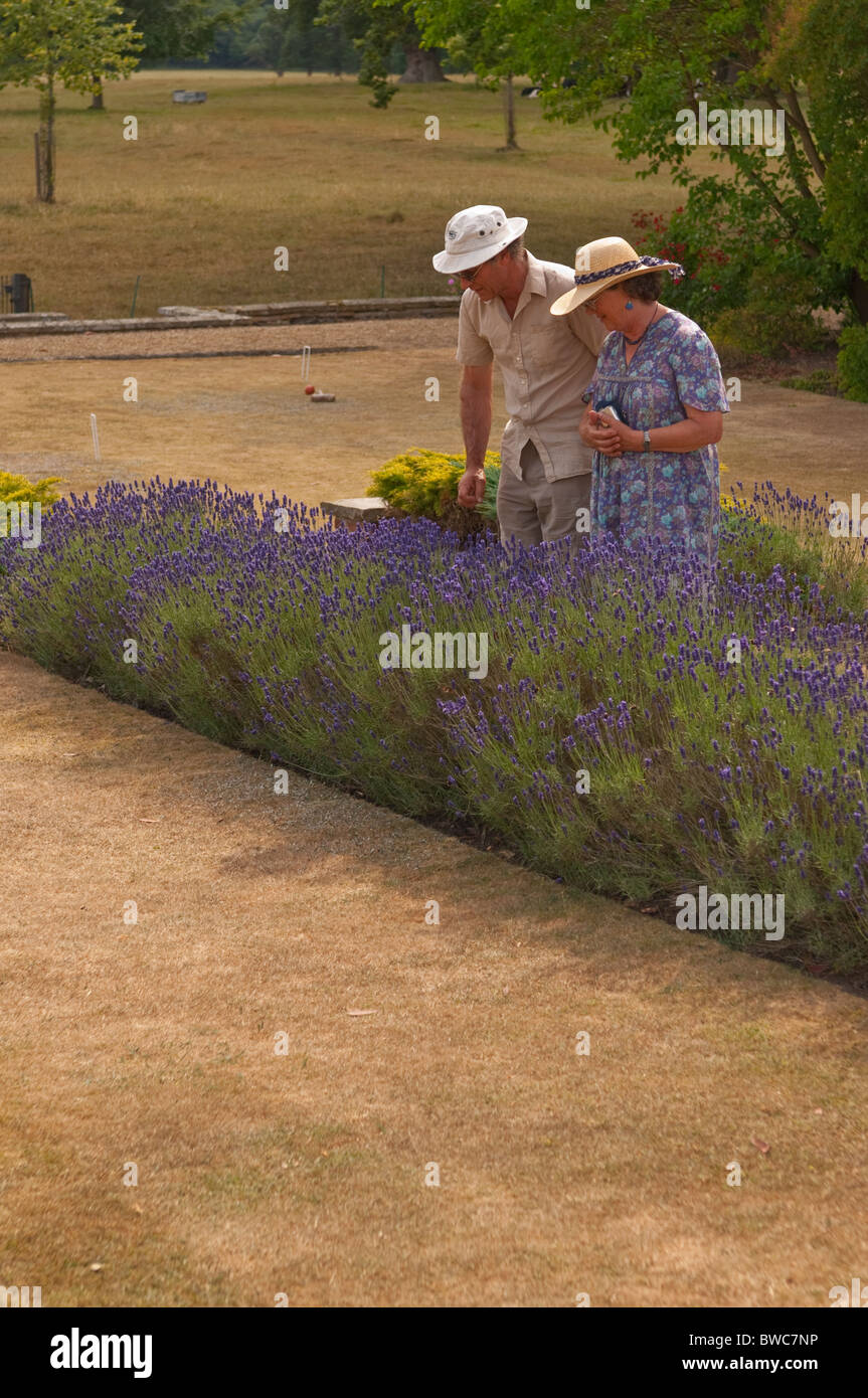 Visitatori guardando la lavanda a Redisham Hall giardini aperti in Redisham , Suffolk , Inghilterra , Gran Bretagna , Regno Unito Foto Stock