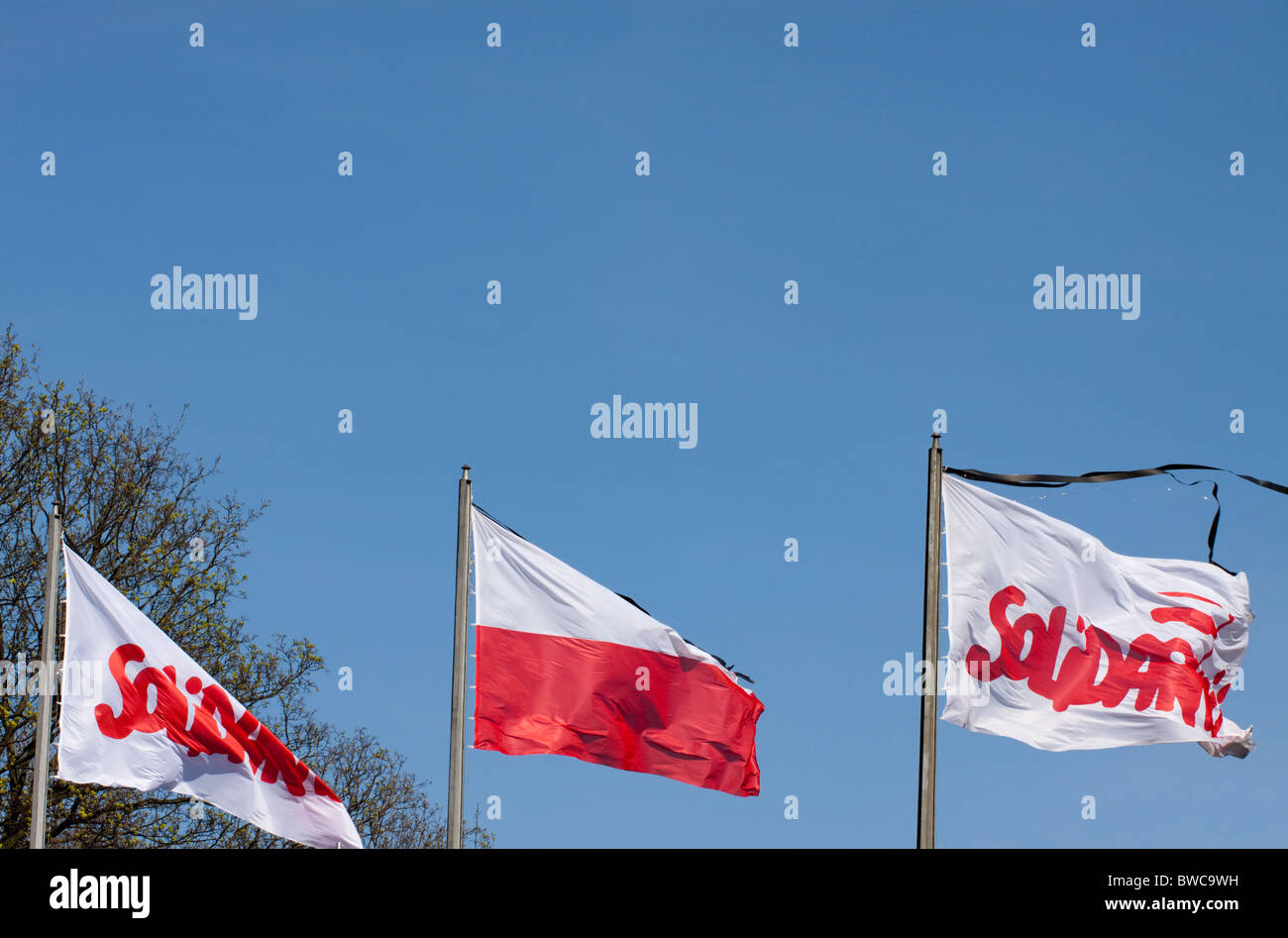 Il polacco della bandiera nazionale tra due bandiere di Solidarnosc (solidarietà) - tutti con nastri di lutto - contro il cielo blu. Foto Stock