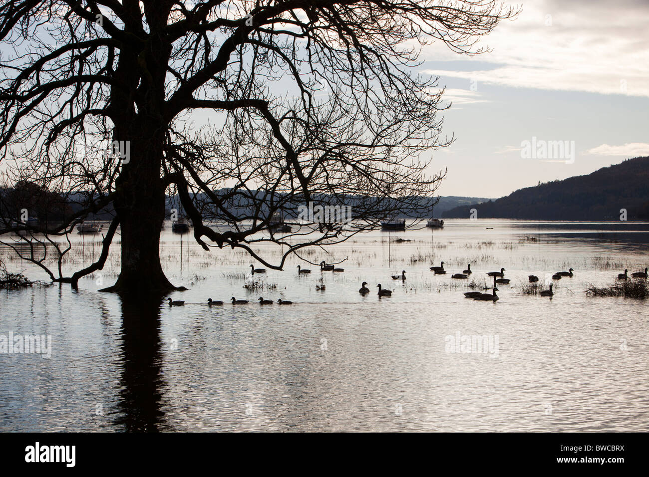 Il lago Windermere nel Lake District, Regno Unito, è inondazioni su base regolare come il cambiamento climatico conduce a più frequente maltempo Foto Stock