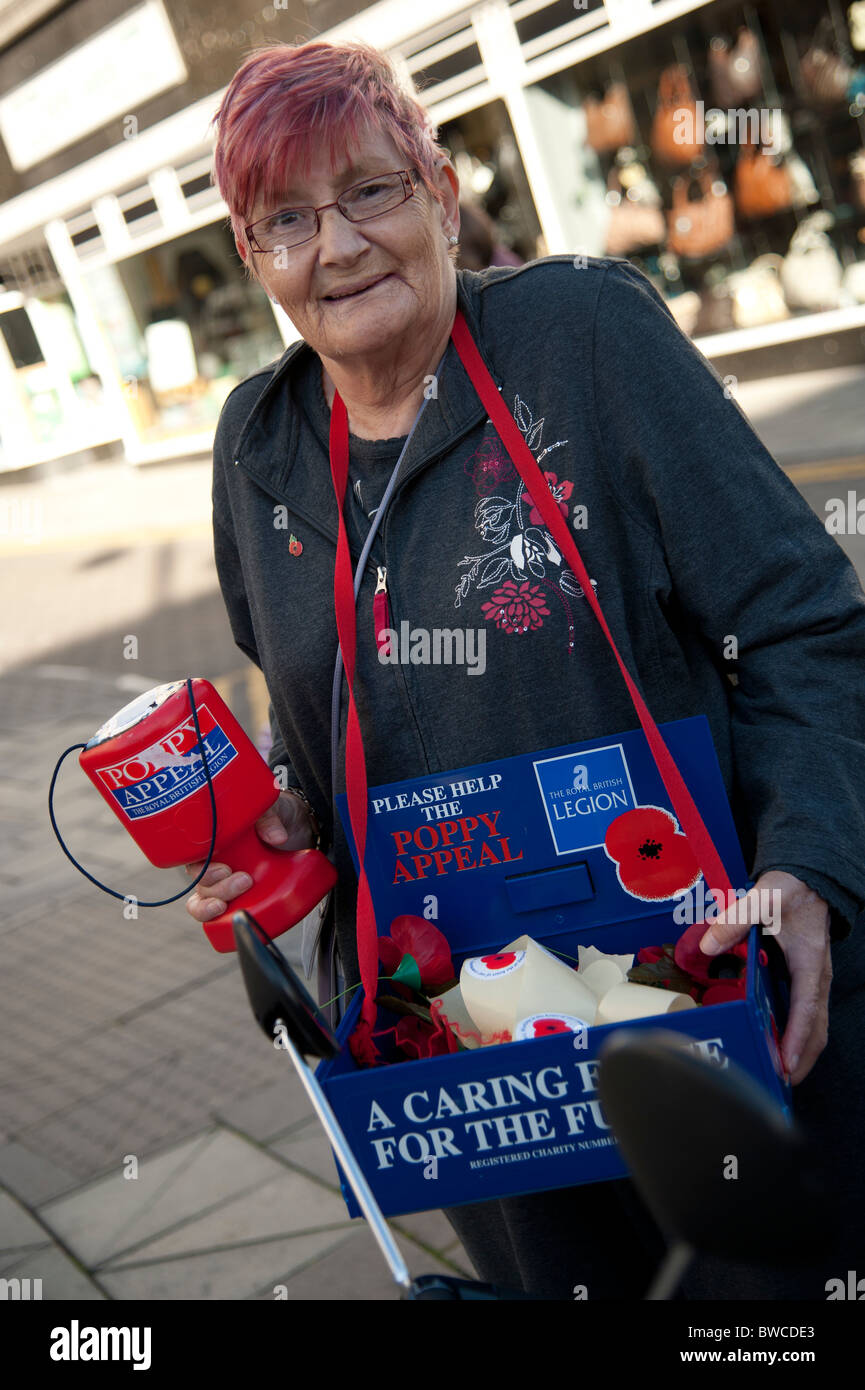 Una donna vendita di papavero rosso per il Giorno del Ricordo, REGNO UNITO Foto Stock