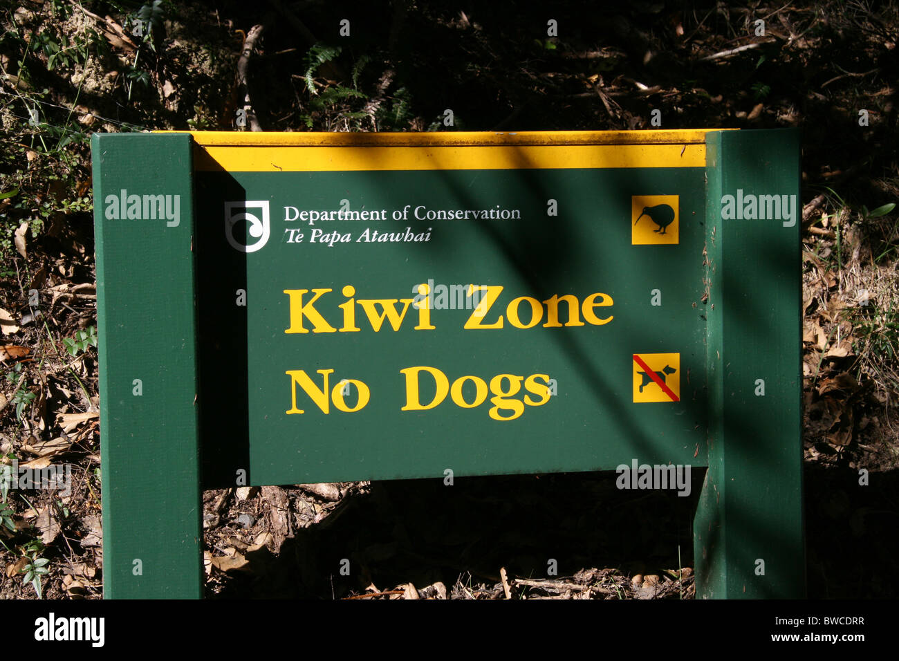 I cani non firmare in una zona di Kiwi, Nuova Zelanda Foto Stock
