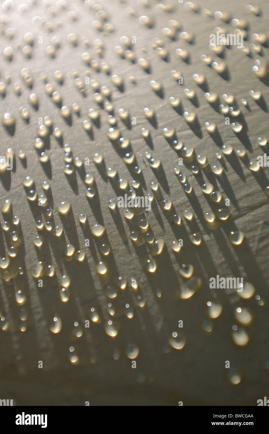 Gocce di pioggia su una tenda al mattino presto Foto stock - Alamy
