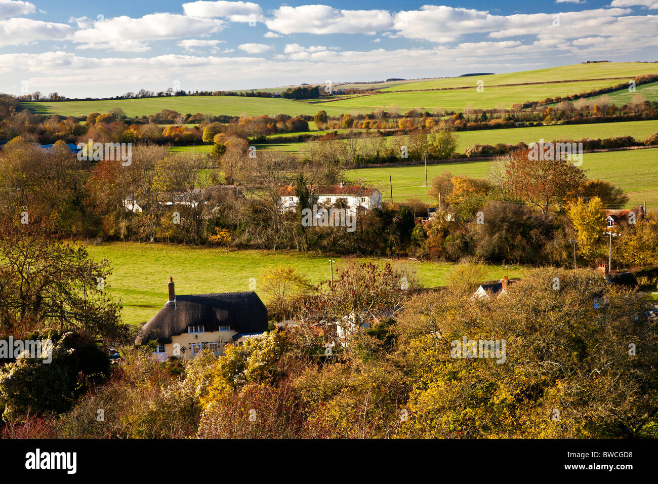 Autunno vista da Marleycombe collina sopra il villaggio di Wiltshire di Bowerchalke, England, Regno Unito Foto Stock