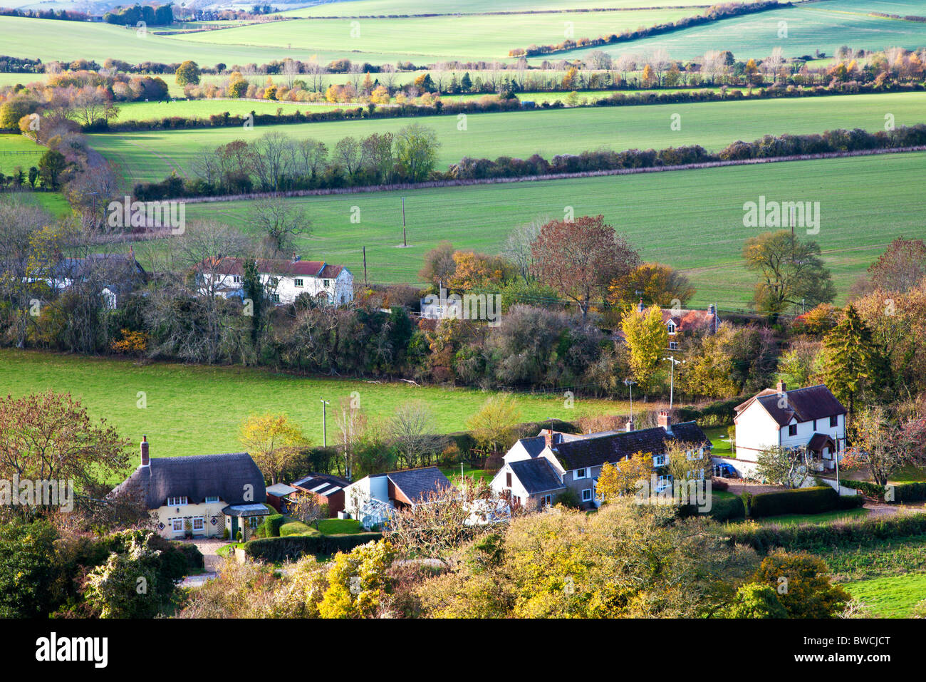 Autunno vista da Marleycombe collina sopra il villaggio di Wiltshire di Bowerchalke, England, Regno Unito Foto Stock