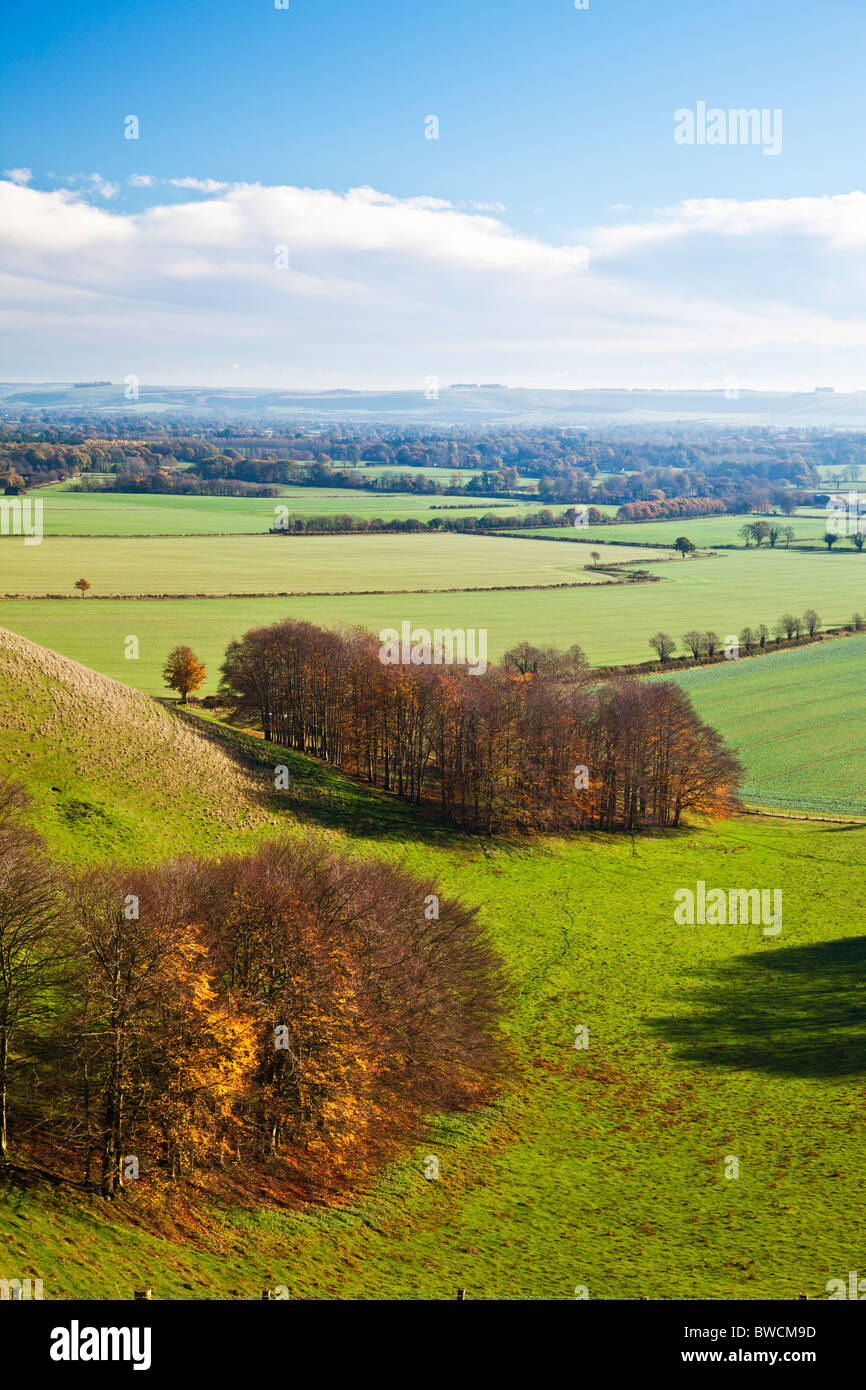 Un tardo autunno vista da Knapp collina sopra la valle di Pewsey nel Wiltshire, Inghilterra, Regno Unito Foto Stock