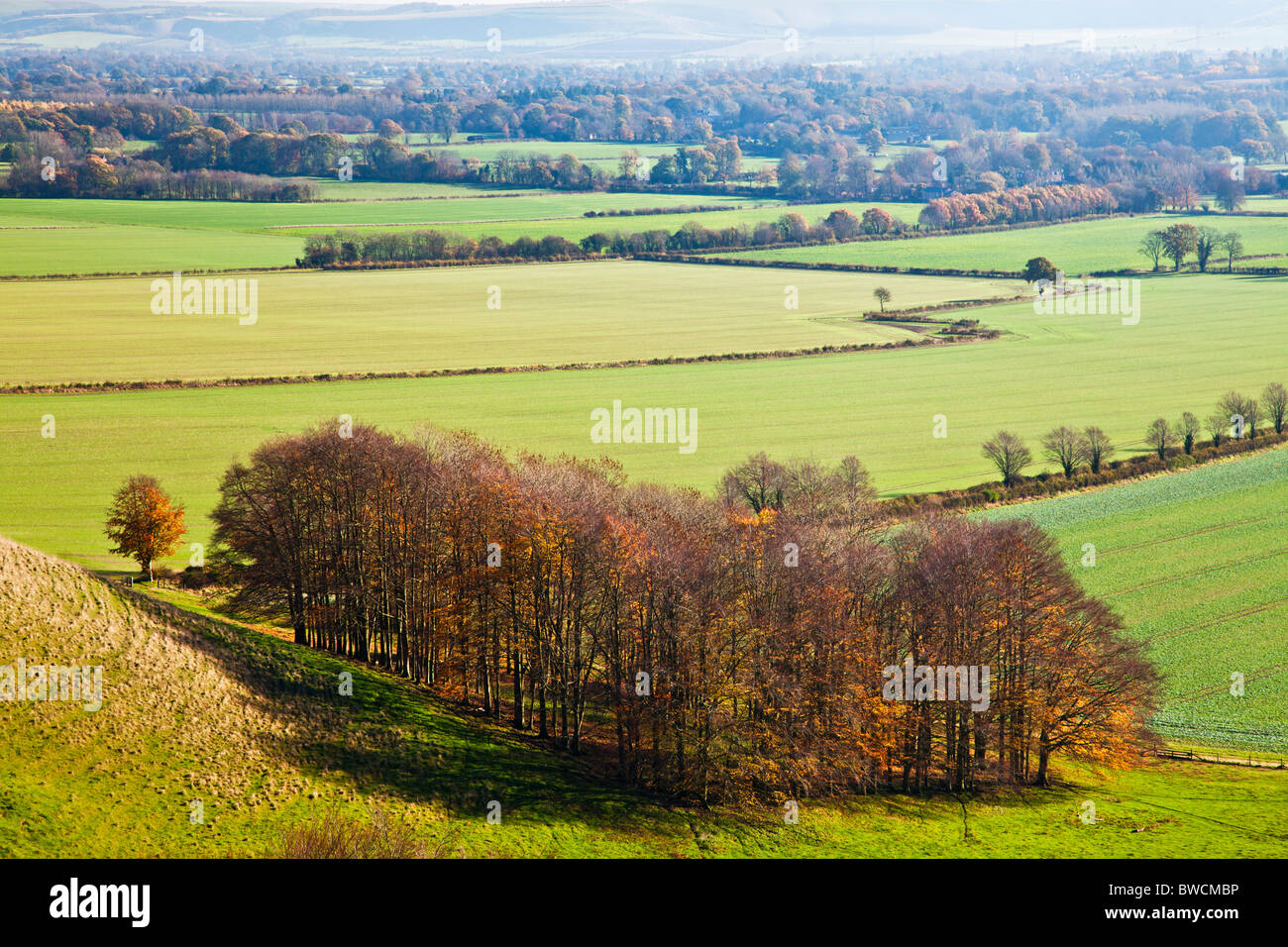 Un tardo autunno vista da Knapp collina sopra la valle di Pewsey nel Wiltshire, Inghilterra, Regno Unito Foto Stock