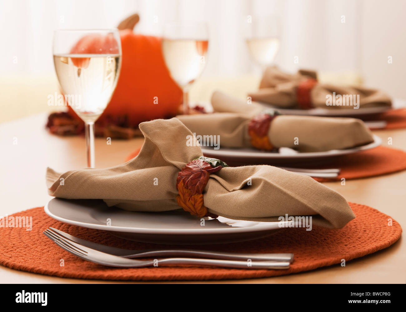 Stati Uniti d'America, Illinois, Metamora, Impostazione tabella Foto Stock