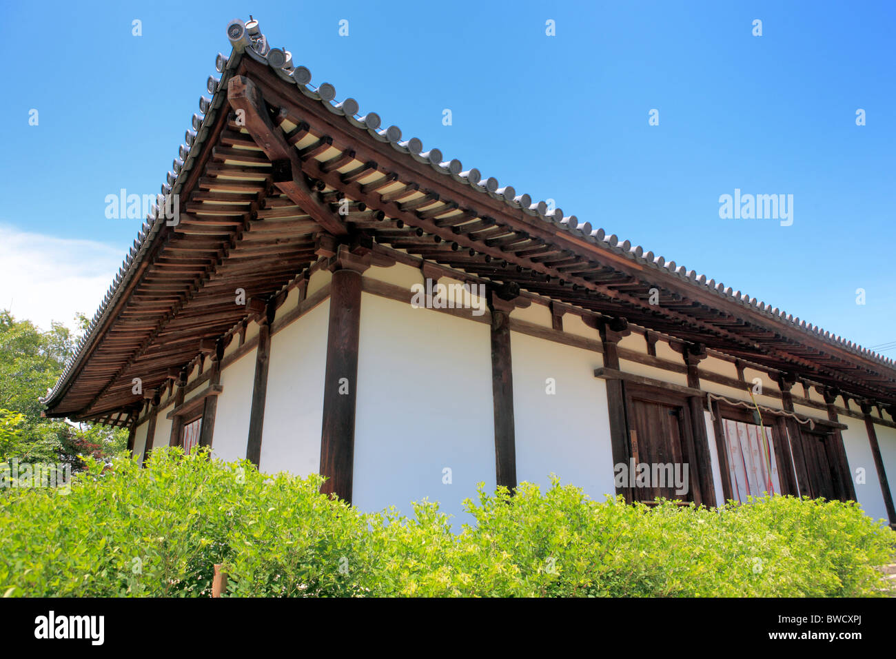 Monastero kondo (747), Shin-Yakushi-ji di Nara, Giappone Foto Stock