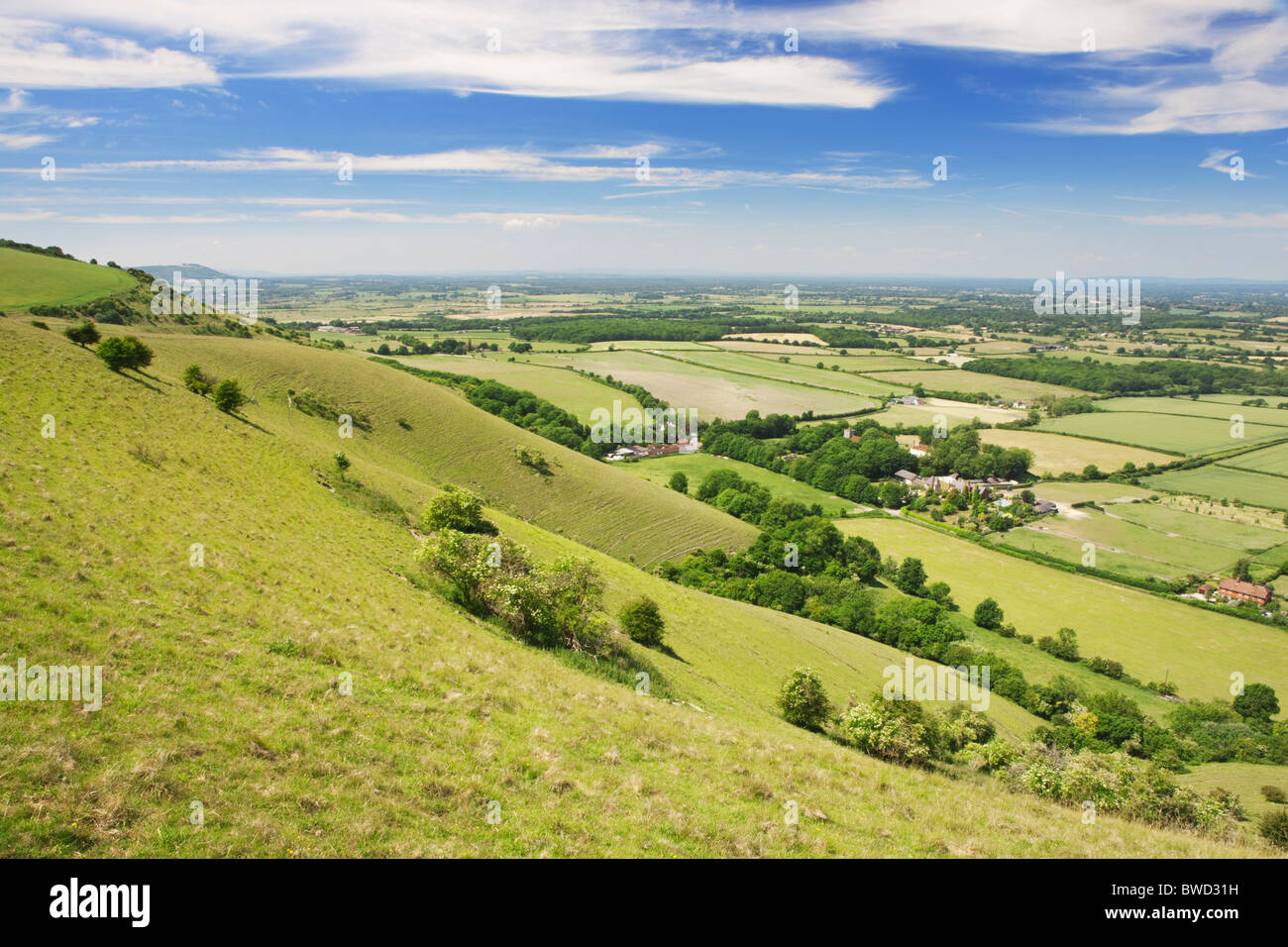 South Downs; West Sussex; Inghilterra, Gran Bretagna Foto Stock