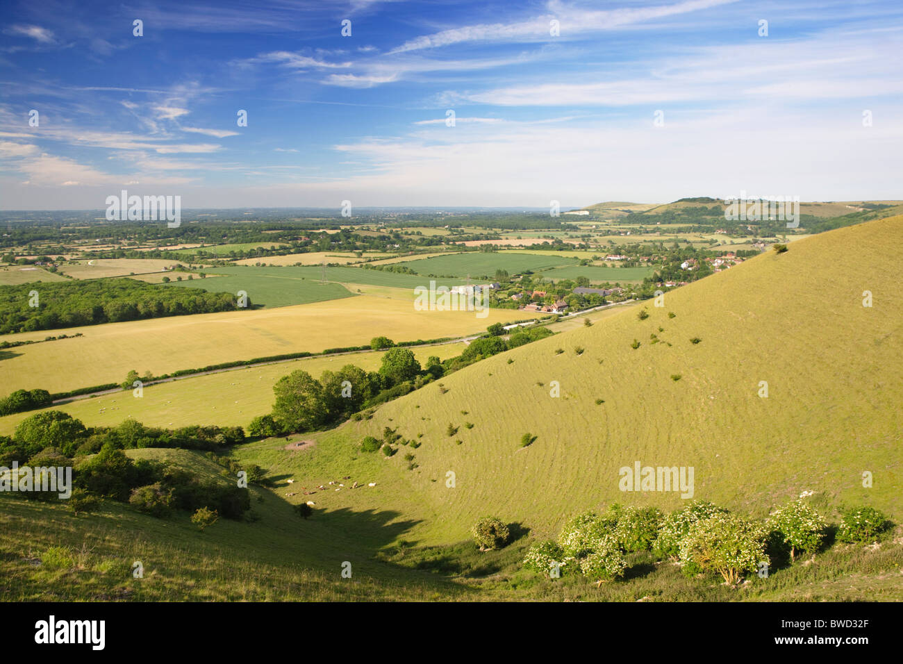 South Downs; West Sussex; Inghilterra, Gran Bretagna Foto Stock