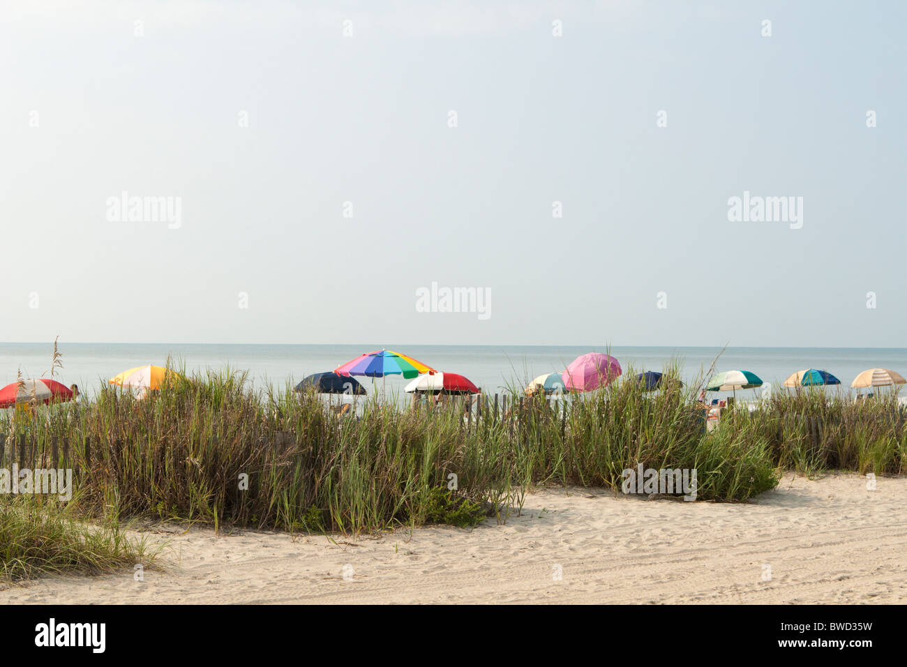 Colorato ombrelloni da spiaggia sono impostati, fornendo ombra su un vago, giornata soleggiata in Myrtle Beach, SC, STATI UNITI D'AMERICA Foto Stock
