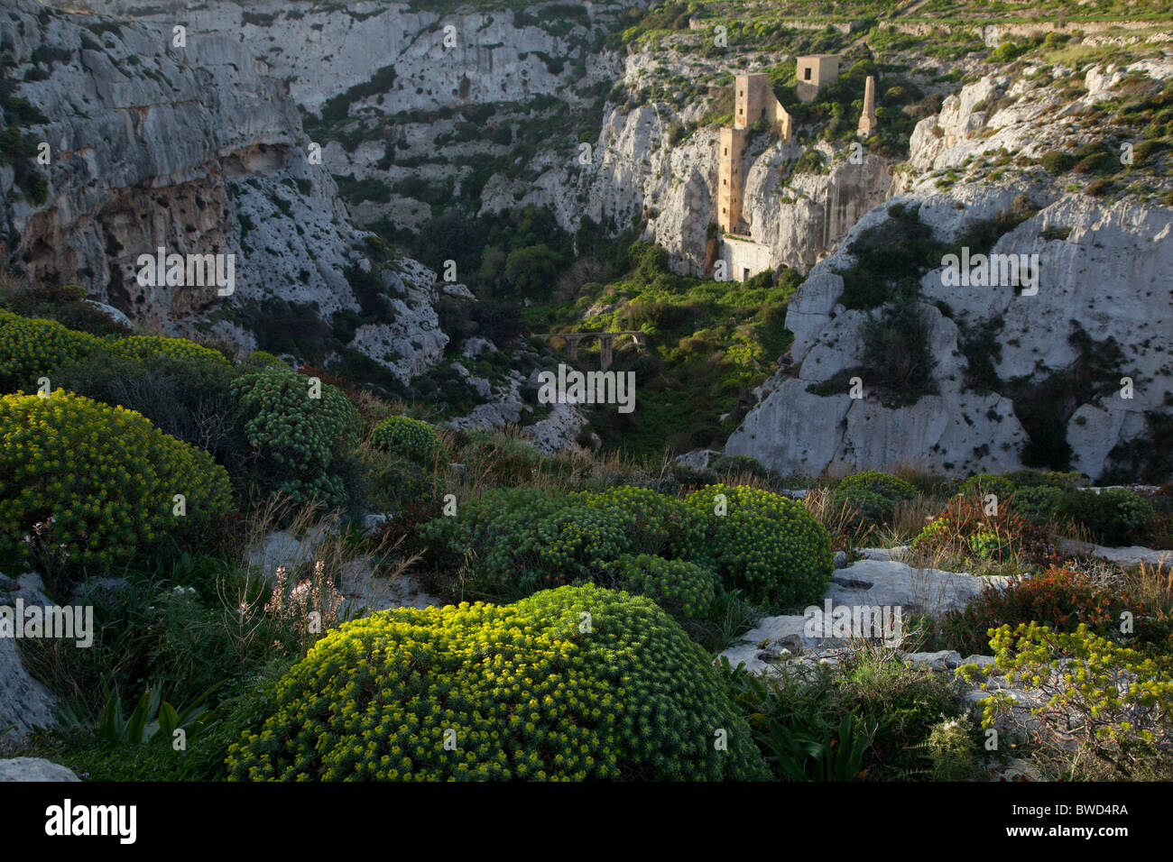 La defunta stazione di pompaggio di acqua nella drammatica gola detta Wied Hanzira a Gozo a Malta. Foto Stock