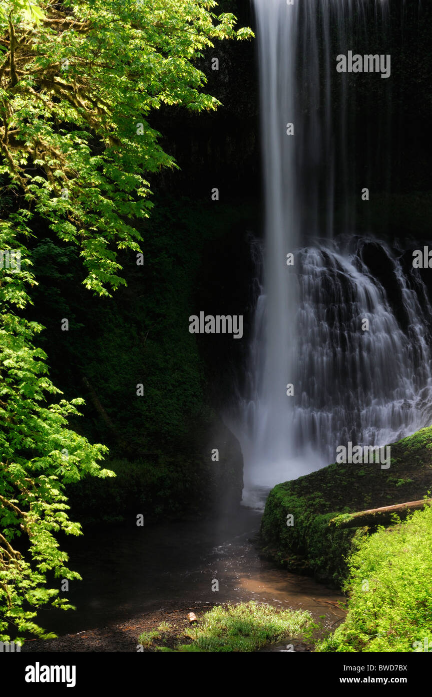 Centro nord scende Silver Falls State Park USA Oregon Trail di dieci cade Canyon Trail Foto Stock