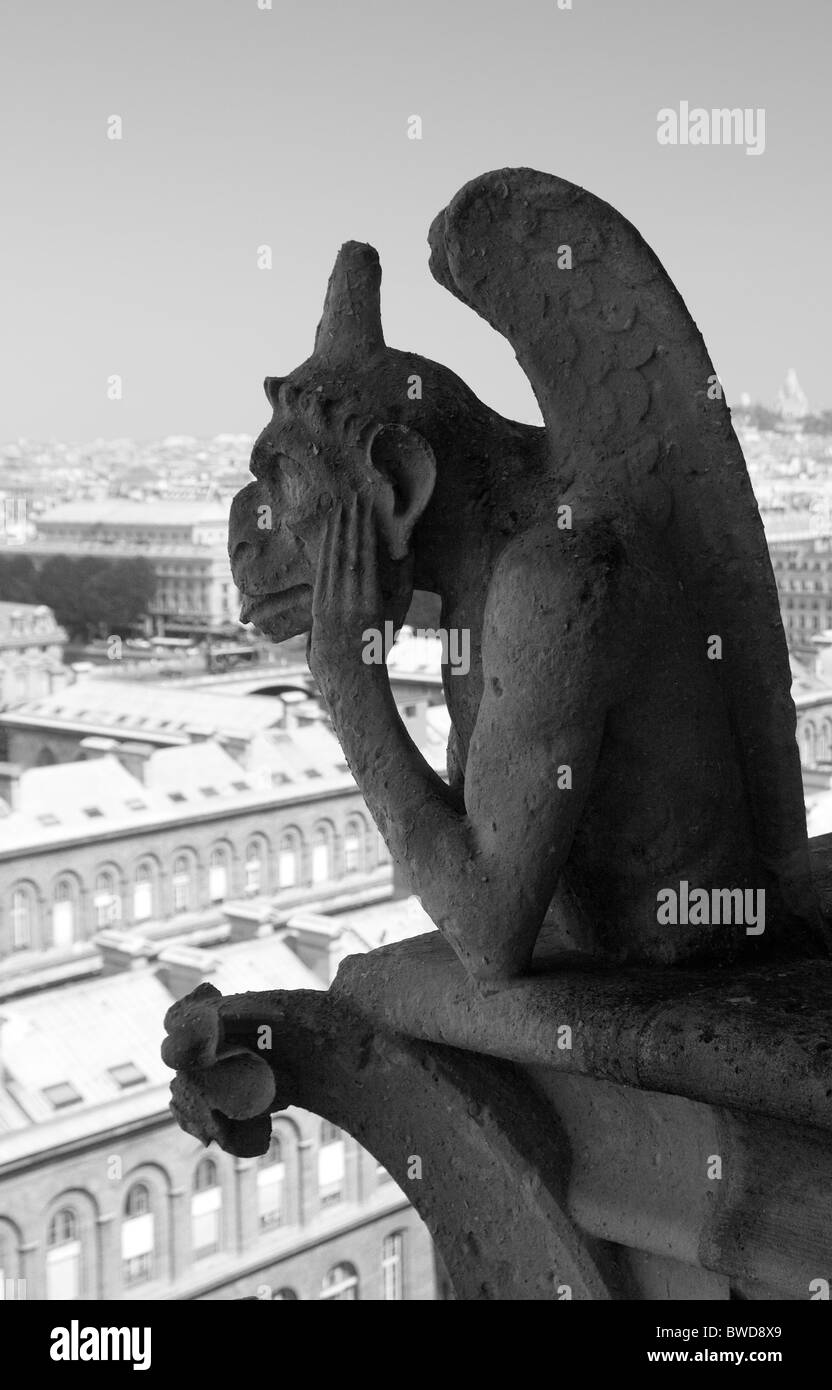 Gargoyle di Notre Dame Parigi Foto Stock