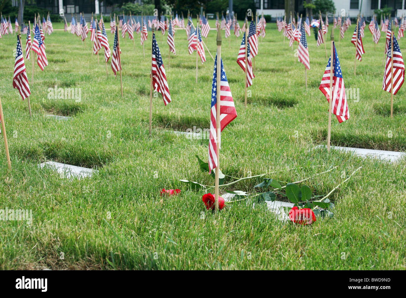 Bandierine americane e le rose sulle tombe a Clemente J Zablocki cimitero dei veterani Wisconsin Foto Stock