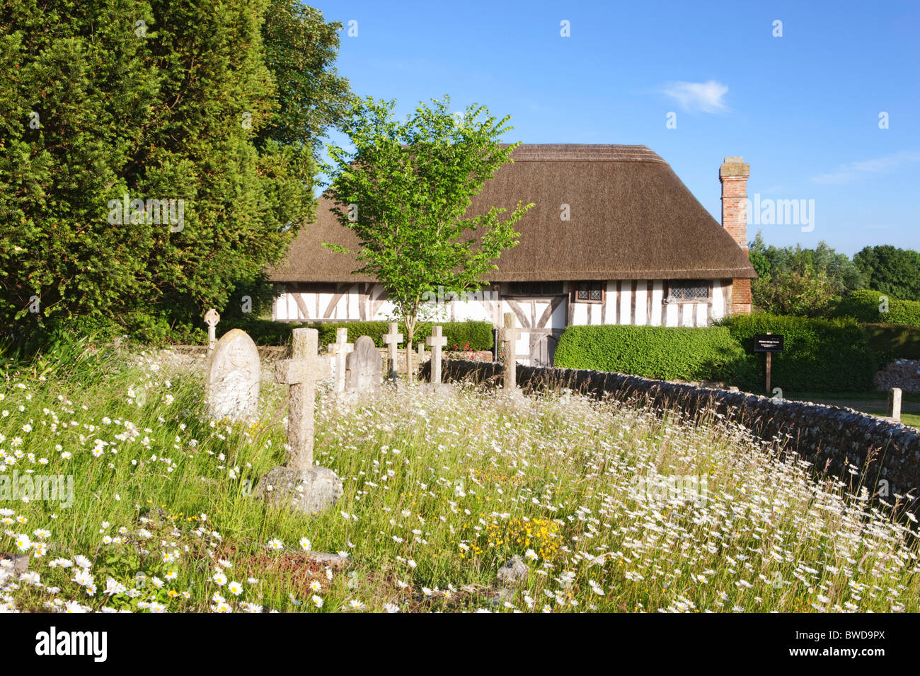 Fiori nella parte anteriore del Alfriston Clergy House; Alfriston; East Sussex; Inghilterra, Gran Bretagna Foto Stock