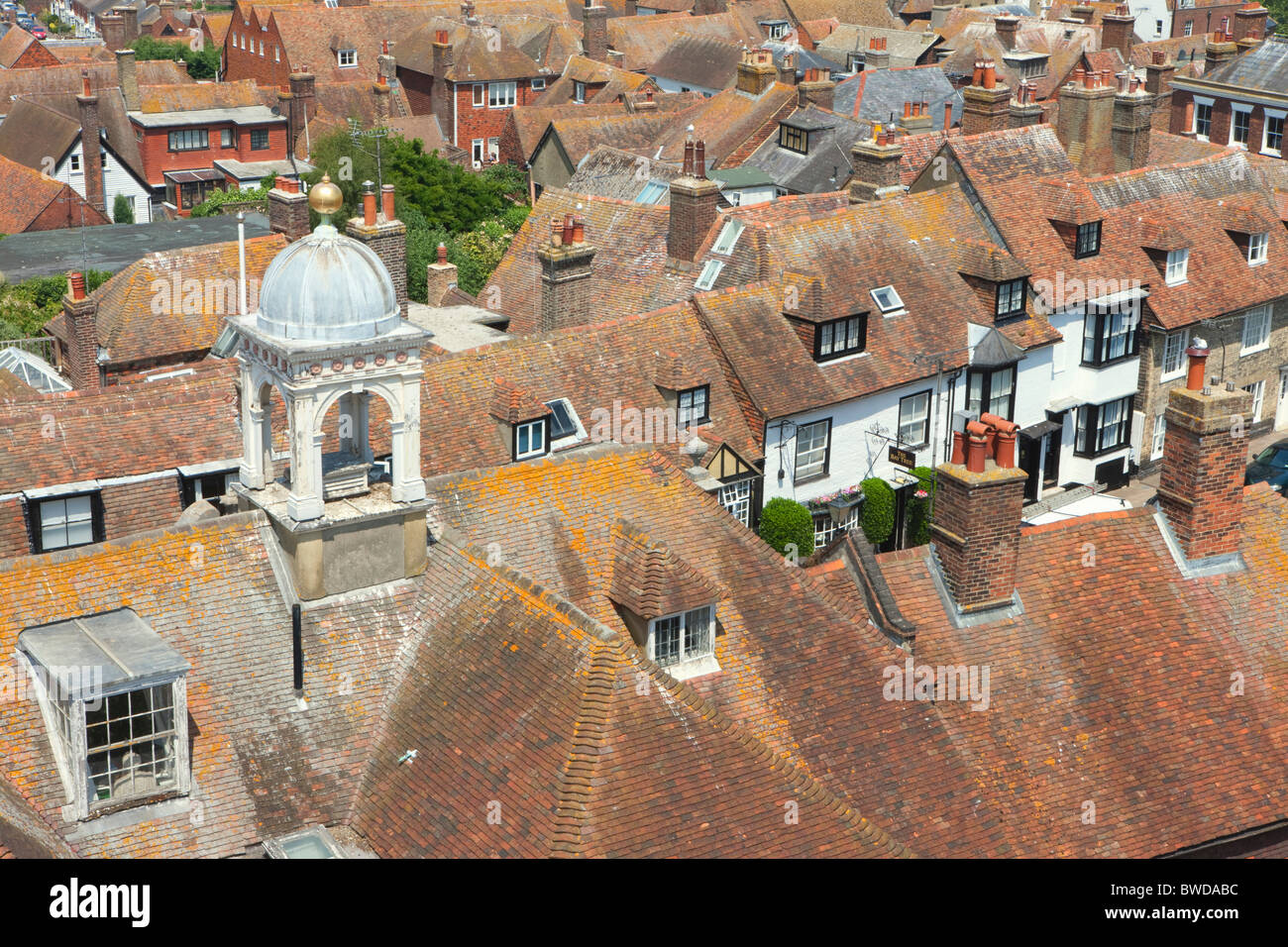 Segale; East Sussex; Inghilterra, Gran Bretagna Foto Stock