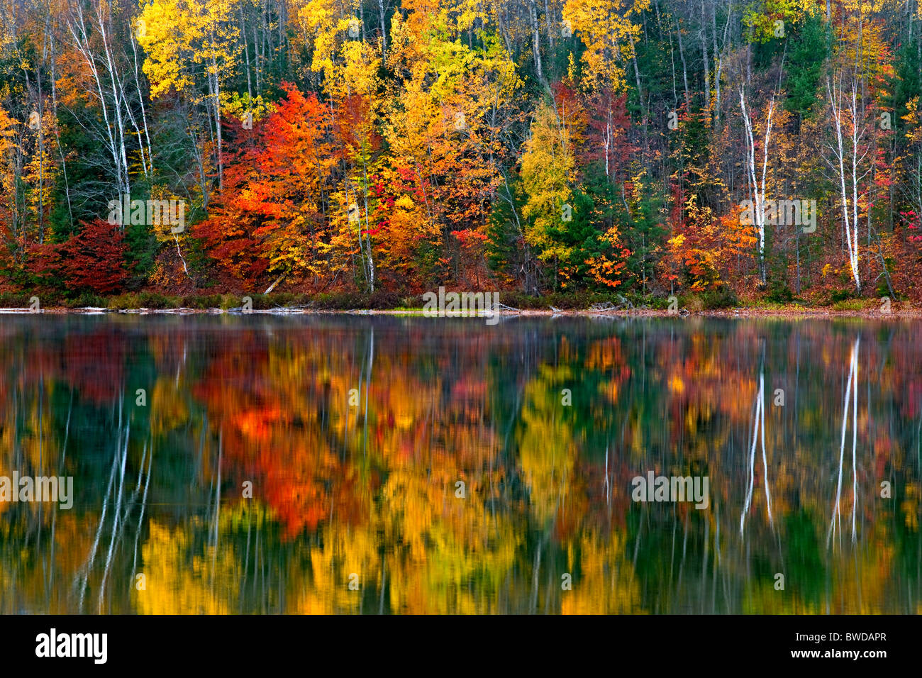 Nebbia di mattina sorge dal lago mocassino con autunno riflessione nella Penisola Superiore del Michigan.. Foto Stock