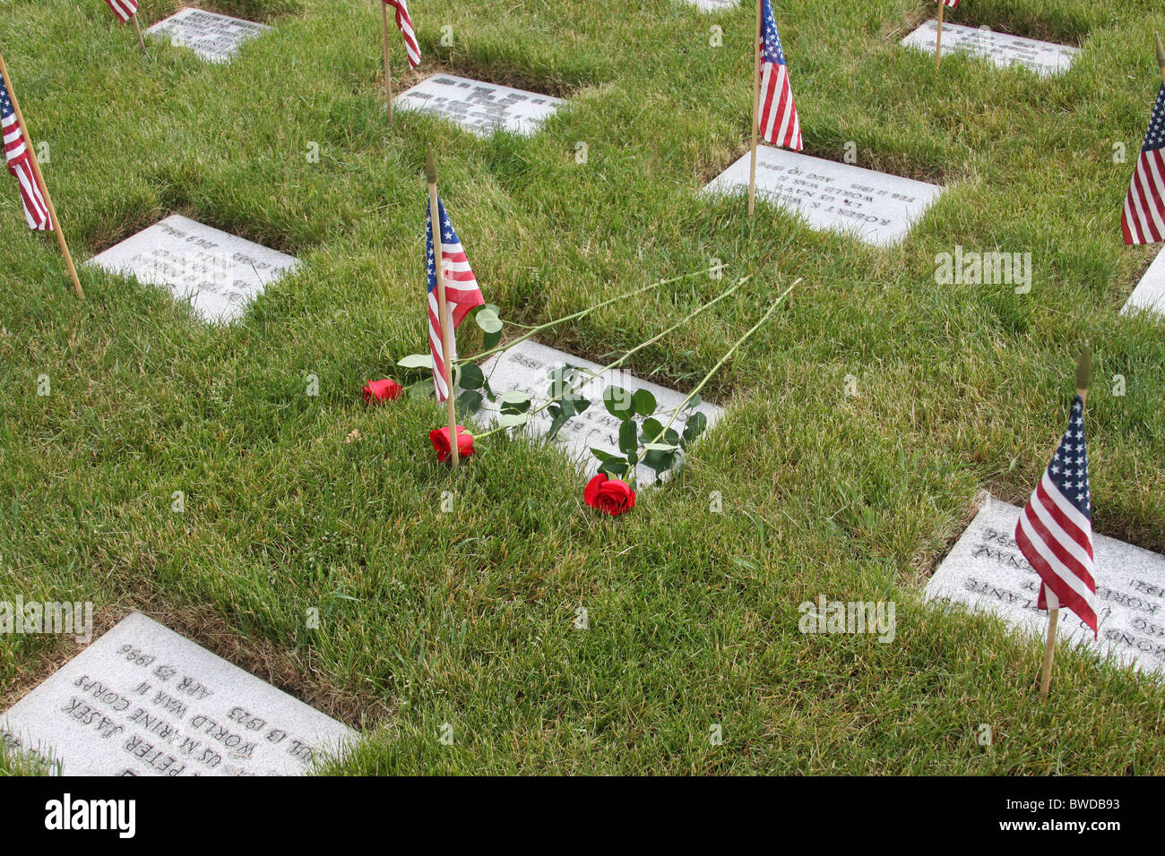 Bandierine americane e le rose sulle tombe a Clemente J Zablocki cimitero dei veterani Wisconsin Foto Stock