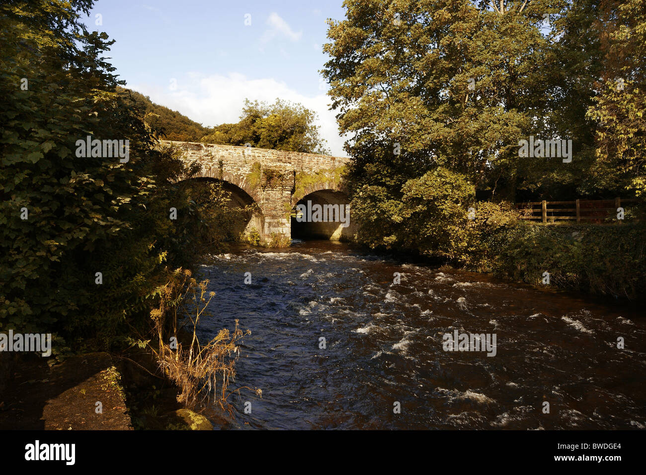 Lion il ponte di arco, la riunione delle acque, avoca, County Wicklow, Irlanda Foto Stock