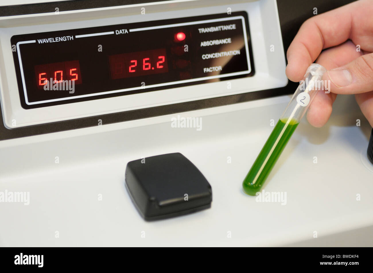 La fotosintesi esperimento con la cuvette di sospensione dei cloroplasti da leggere per la trasmittanza della luce in uno spettrofotometro Foto Stock