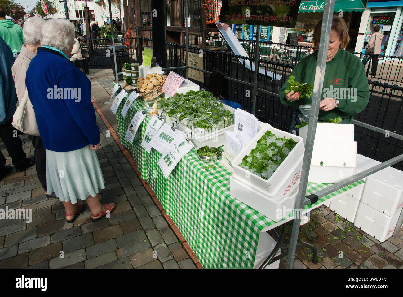 Crescione locale in vendita al mercato di Fareham, Hampshire Foto Stock