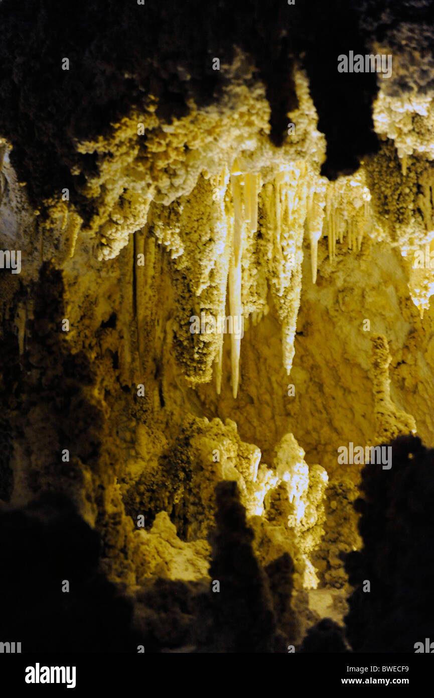 Parco nazionale di Carlsbad Cavern Foto Stock