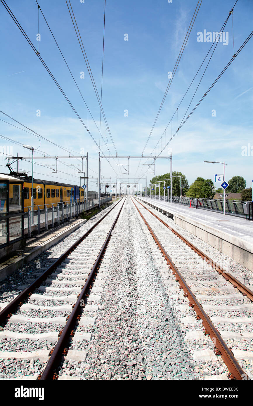 Spoorweg linea ferroviaria Paesi Bassi Foto Stock