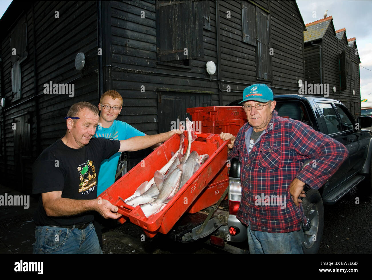 Hastings pescatori di portare le loro notti' delle catture di merluzzo fresco e della passera di mare nelle cassette per il mercato del pesce in Hastings Old Town SUSSEX REGNO UNITO Foto Stock