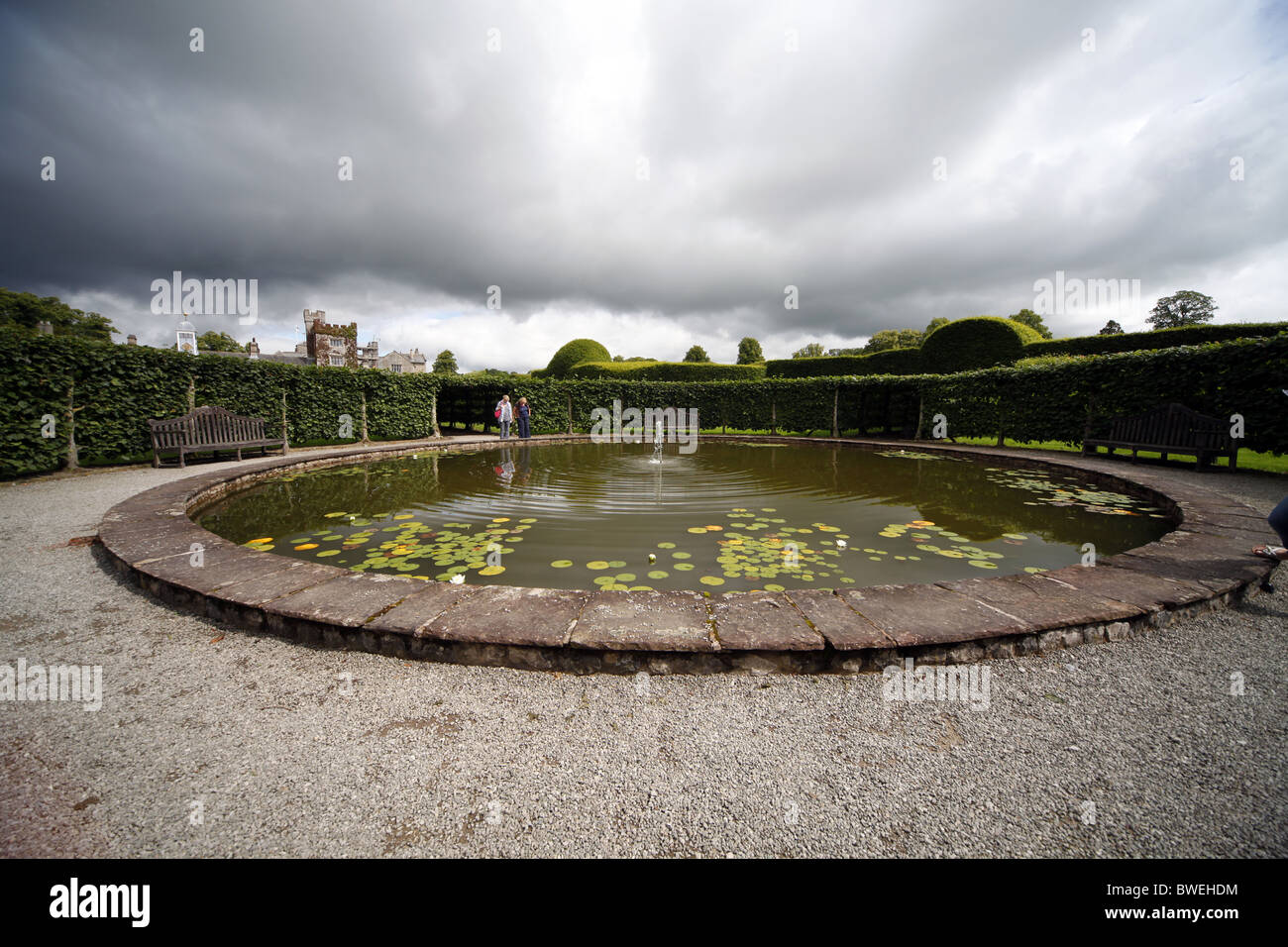 Acqua LILLIES IN STAGNO Levens Hall Kendal Cumbria Levens Hall Cumbria Inghilterra Kendal Cumbria Inghilterra 17 Agosto 2010 Foto Stock