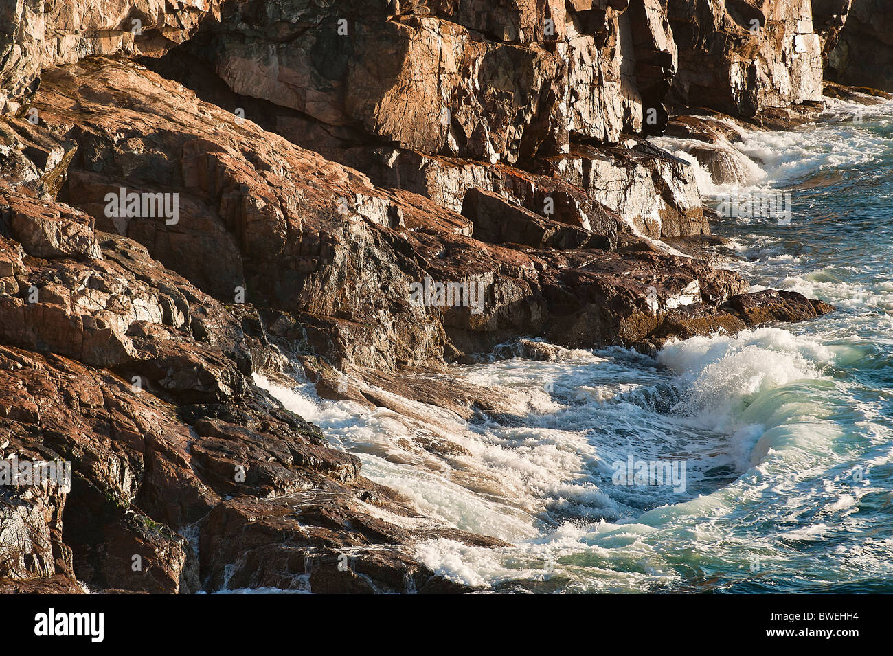 Il paesaggio costiero, ocean drive, acadia np, Maine, ME, Stati Uniti d'America Foto Stock