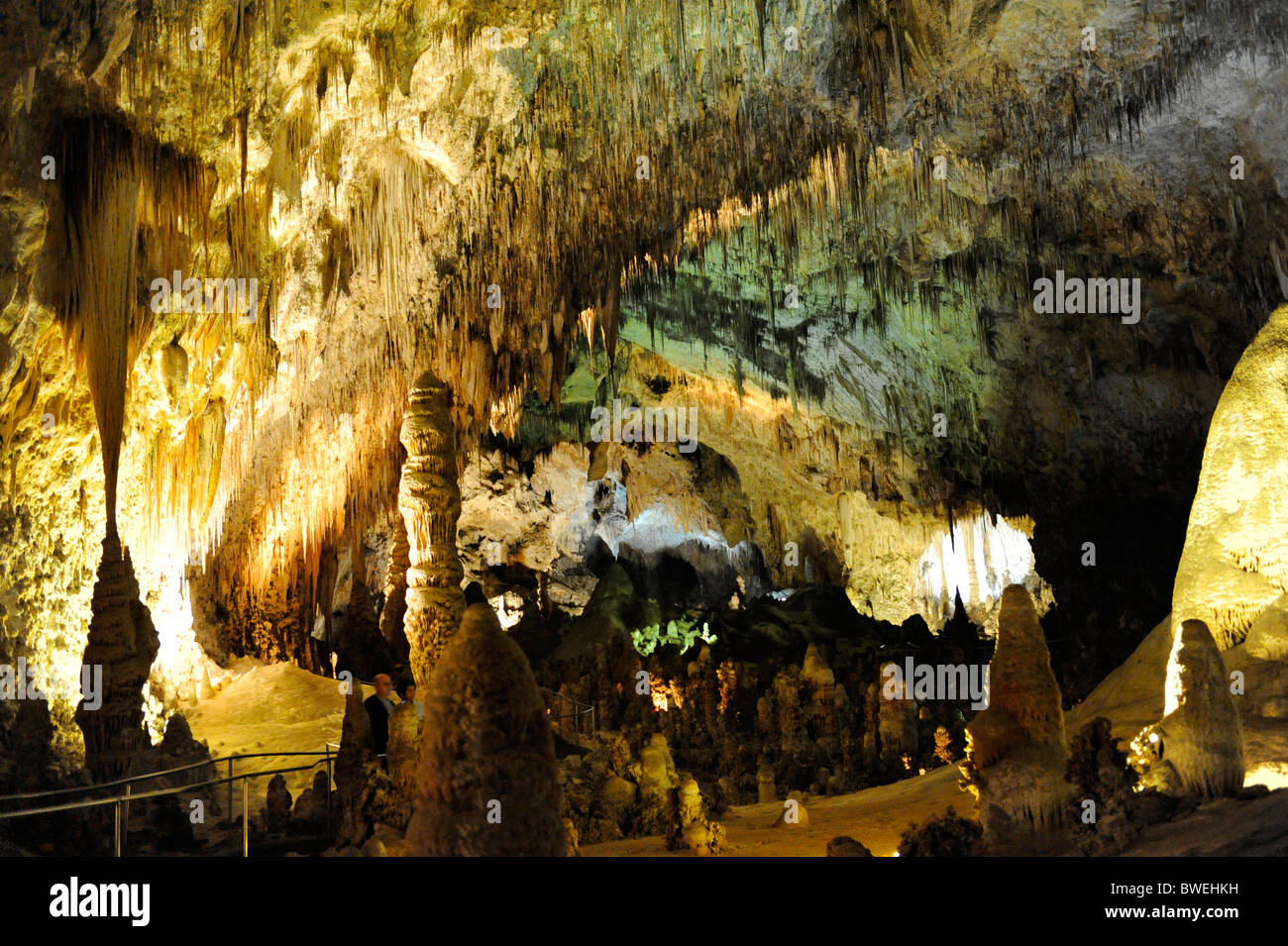 Parco nazionale di Carlsbad Cavern Foto Stock