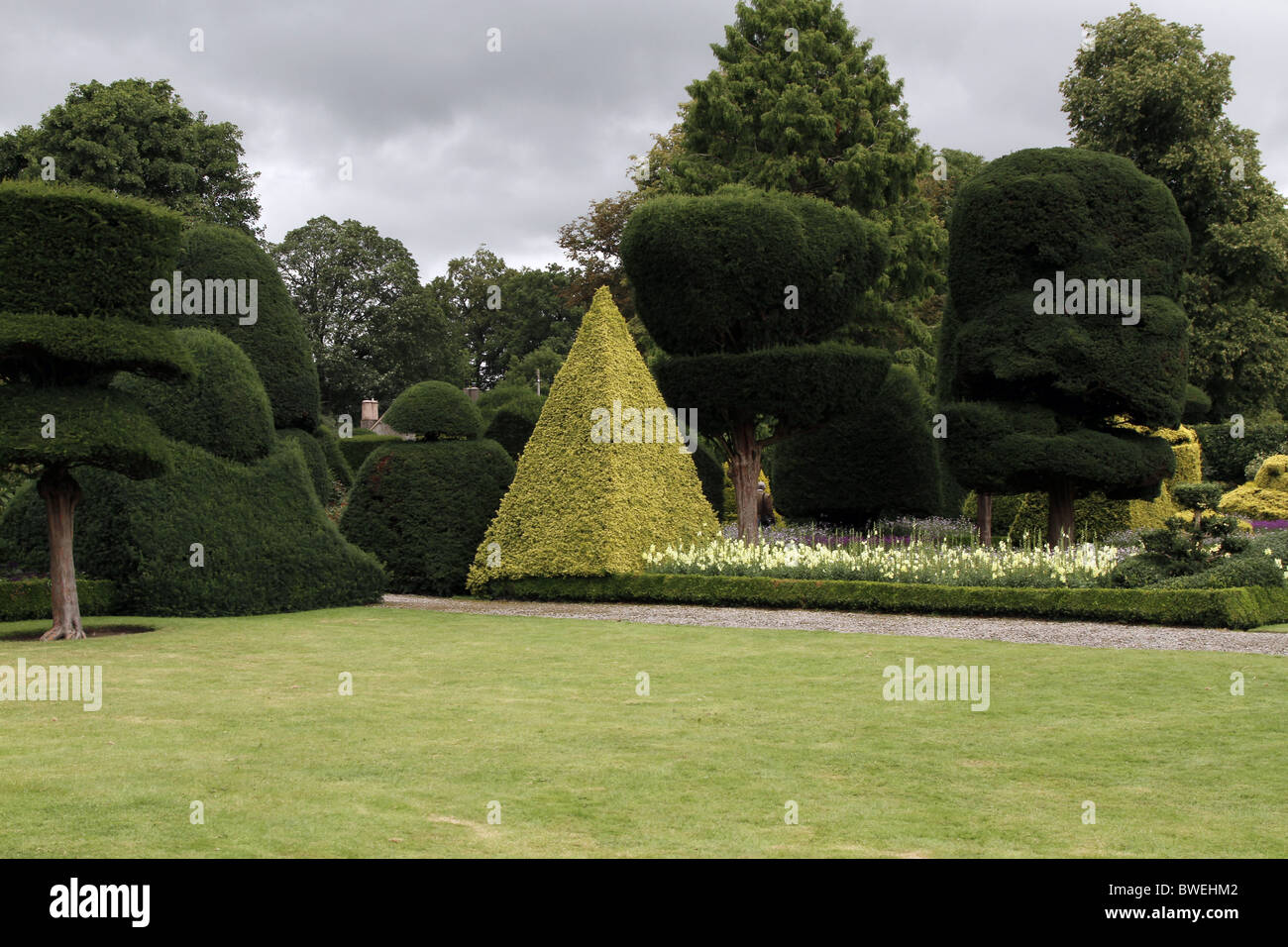 Topiaria da siepi di alberi Levens Hall Kendal Cumbria Levens Hall Cumbria Inghilterra Kendal Cumbria Inghilterra 17 Agosto 2010 Foto Stock