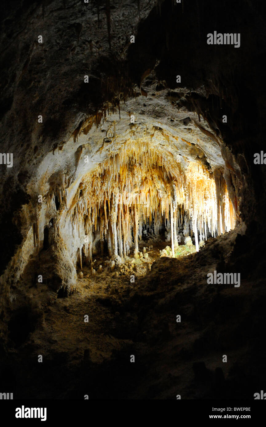 Parco nazionale di Carlsbad Cavern Foto Stock