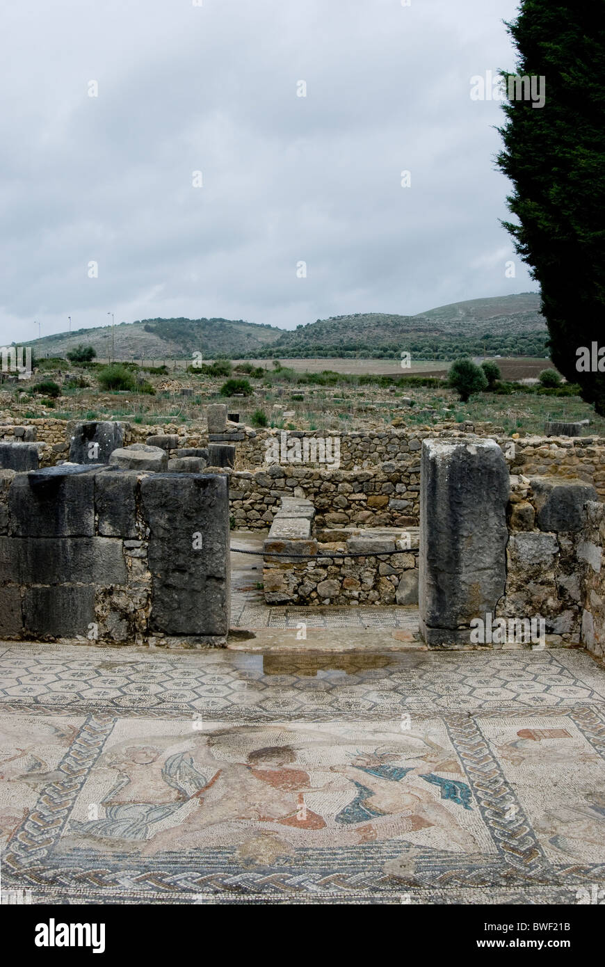 Volubilis, sito archeologico romano in Marocco. Mosaico di rapimento di Hylas dalle ninfe nella Casa di Venere Foto Stock