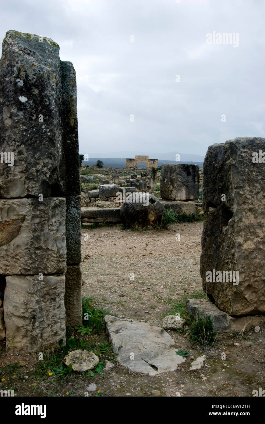 Volubilis, sito archeologico romano in Marocco. Foto Stock