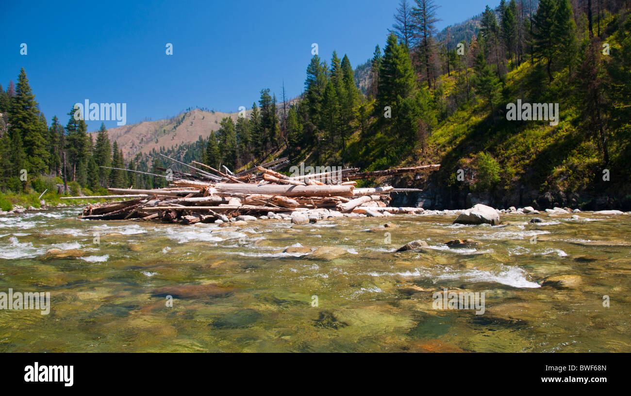 Stati Uniti d'America,Idaho, Rafting Centro Forcella del fiume di salmoni. Registri sovrapposti impilati su un banco di sabbia dopo un alto acqua runoff. Foto Stock