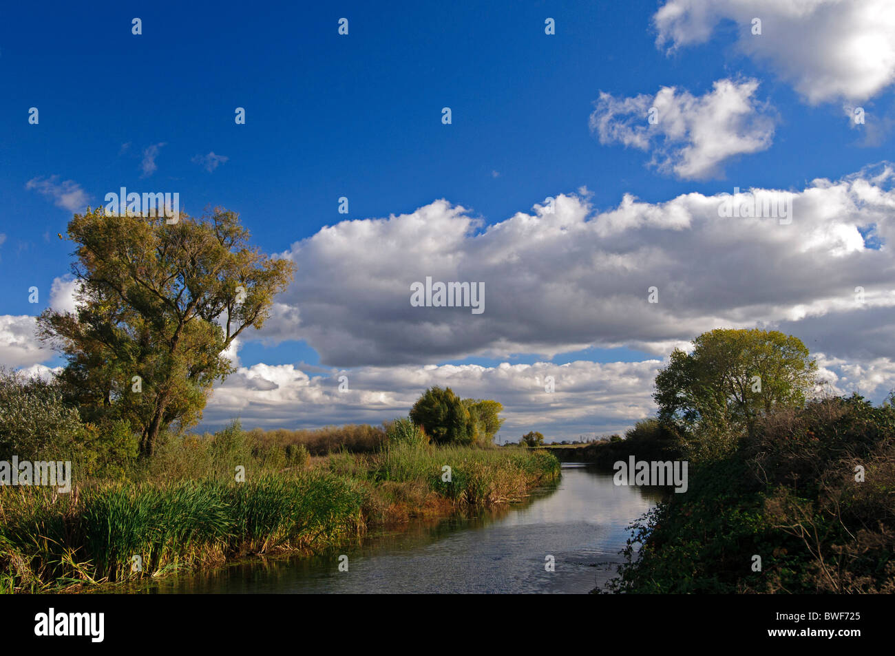 Canale di irrigazione per campi agricoli nella regione del Delta, Central Valley, California. Foto Stock