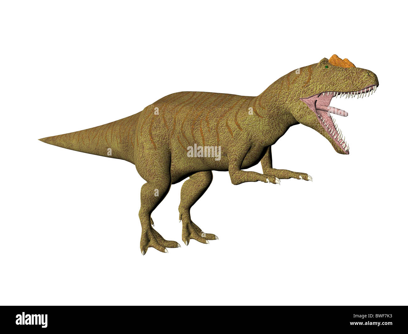 3D illustrazione del dinosauro Allosaurus Foto Stock