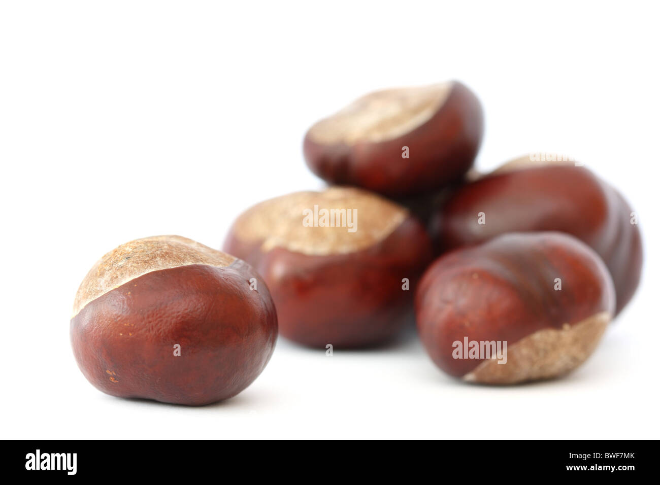 Le castagne su sfondo bianco con una castagna in primo piano Foto Stock
