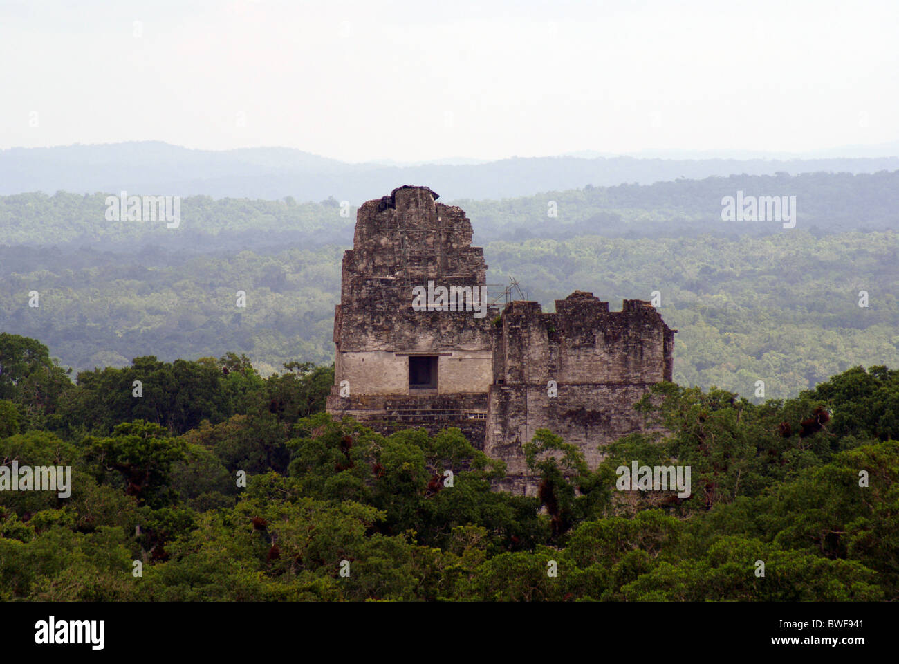 Tempio che io e il Tempio II dalla cima del tempio IV, Tikal, El Petén, Guatemala. Tikal è un sito Patrimonio Mondiale dell'UNESCO. Foto Stock